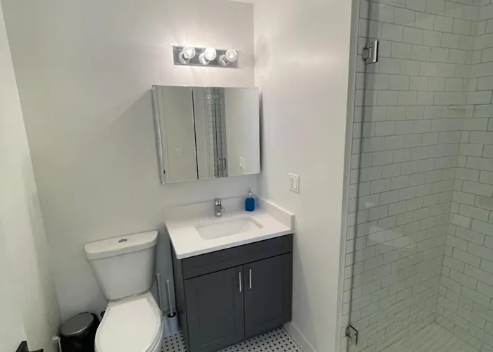 Stylish Shared Minutes From Downtown Chicago, 1bedroom And Shared Access